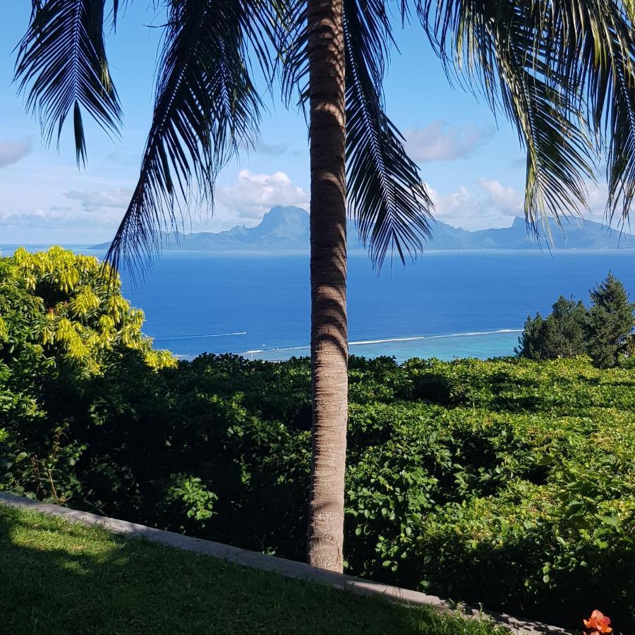 Villa Lodge - Bas De Villa Avec Piscine Et Vue Ocean Et Moorea Punaauia  Extérieur photo