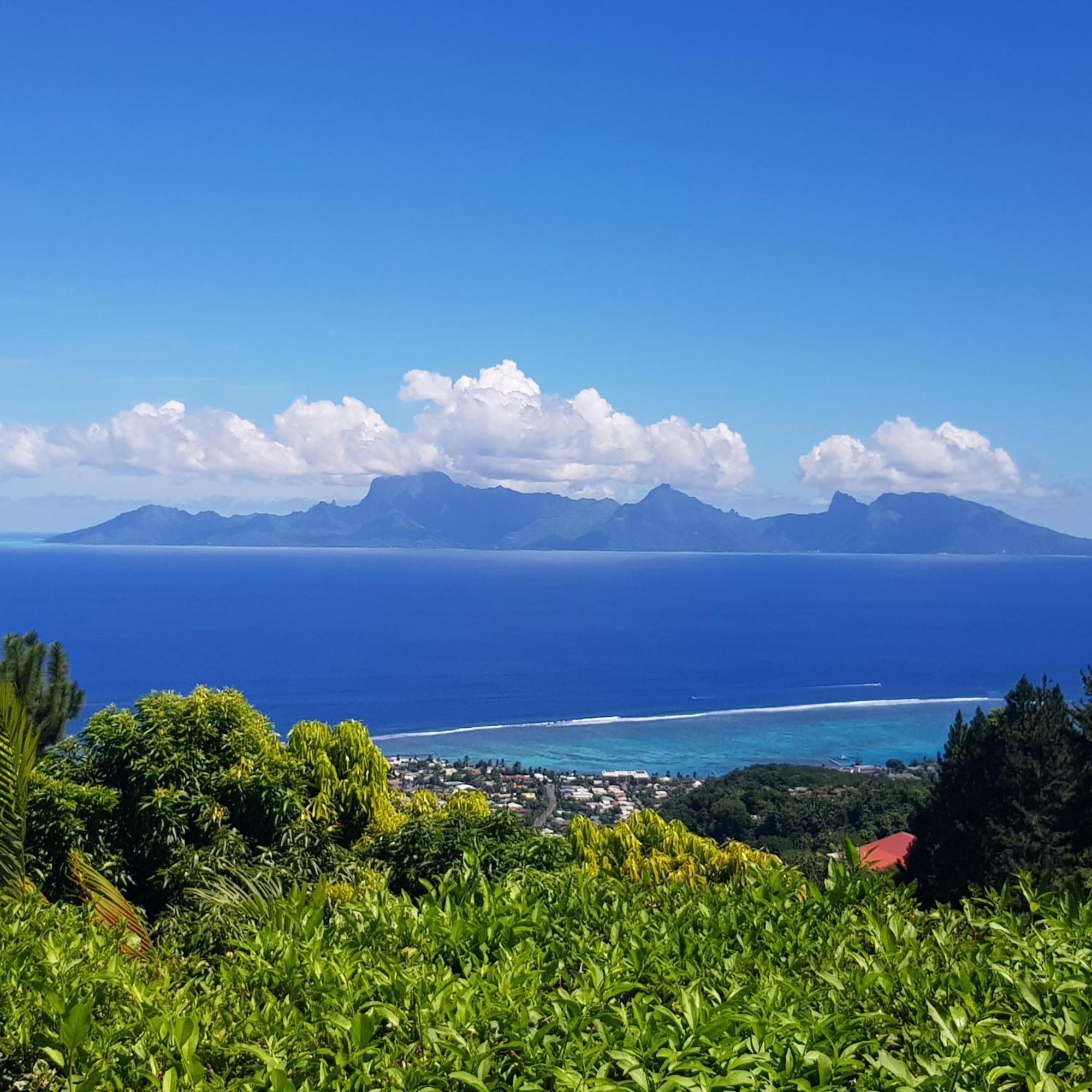 Villa Lodge - Bas De Villa Avec Piscine Et Vue Ocean Et Moorea Punaauia  Extérieur photo